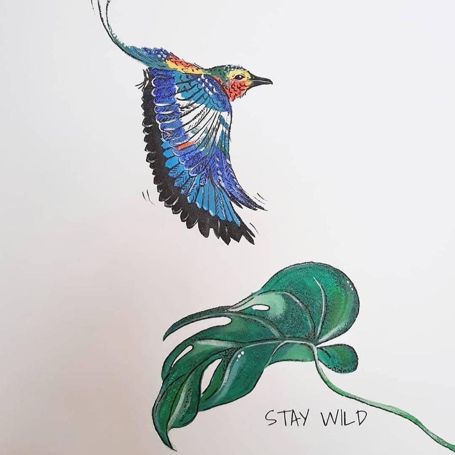 #Staywild29 - Gemuetliche Ferienwohnung Im Allgaeu Kempten Bagian luar foto