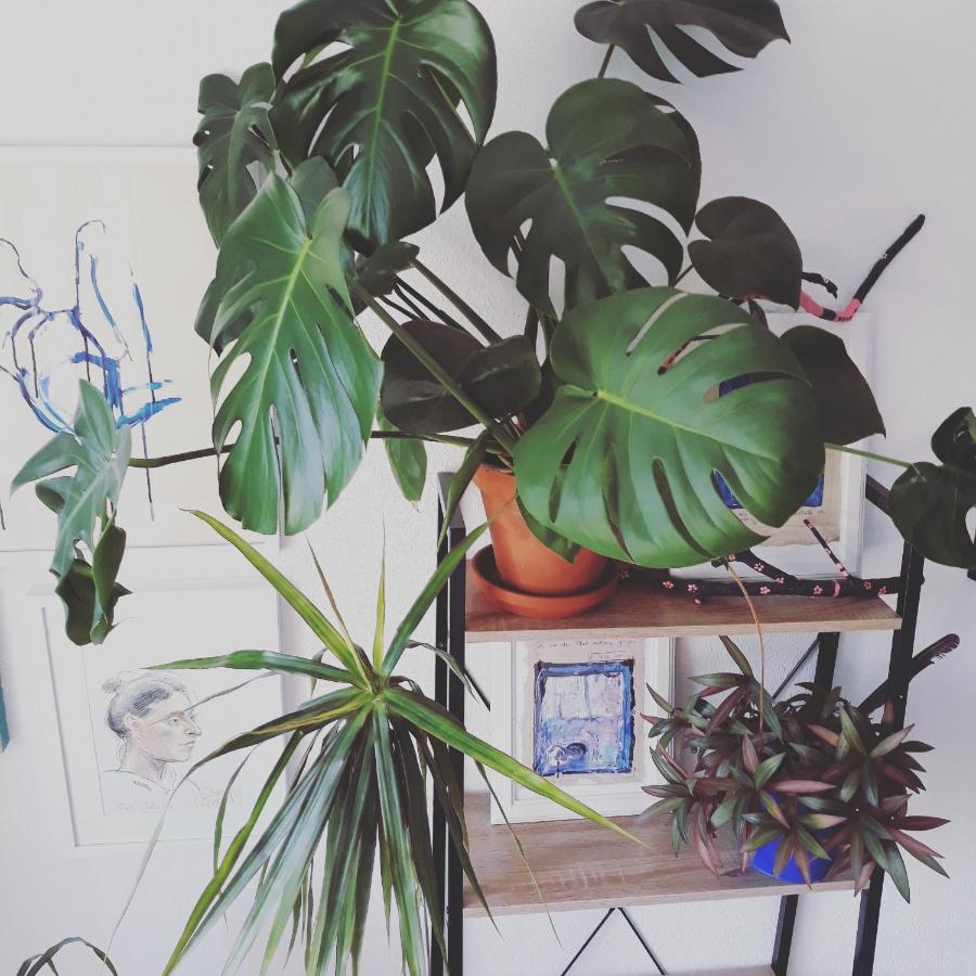 #Staywild29 - Gemuetliche Ferienwohnung Im Allgaeu Kempten Bagian luar foto